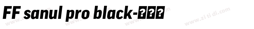 FF sanul pro black字体转换
